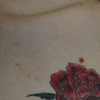 Image : Rose Avant après <font size=0.3> ©Jacky tatouage</font>